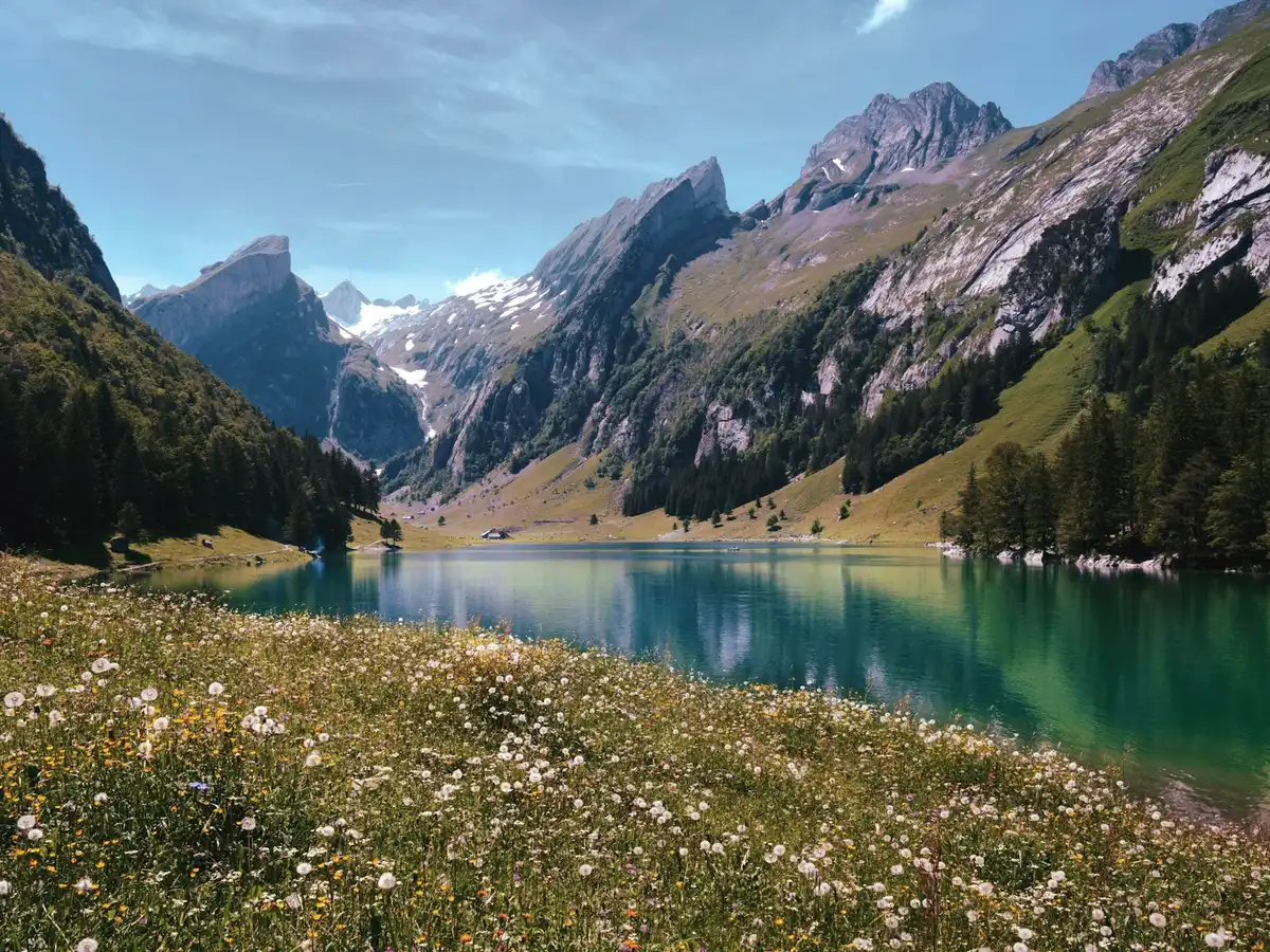 Green mountain slope and lake scenery — Seealpsee, Appenzell, Switzerland