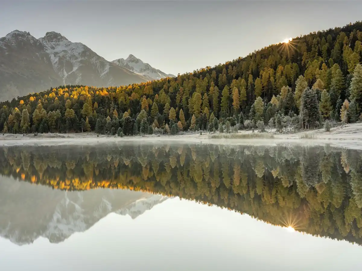 A lake surrounded by mountains and trees — Engadin, Switzerland