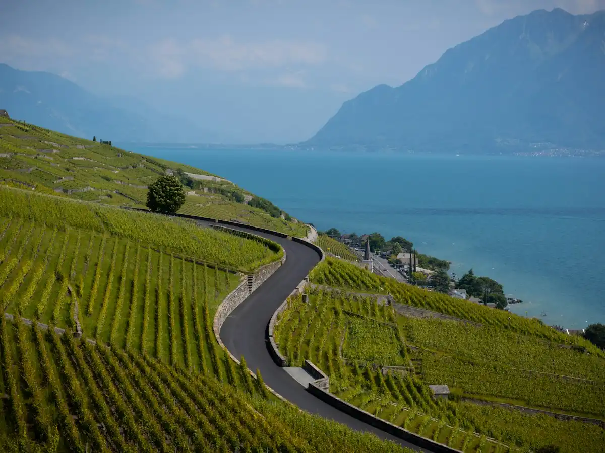Vineyards overlook a winding road and lake — Lavaux, Switzerland